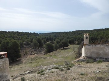 v2427254