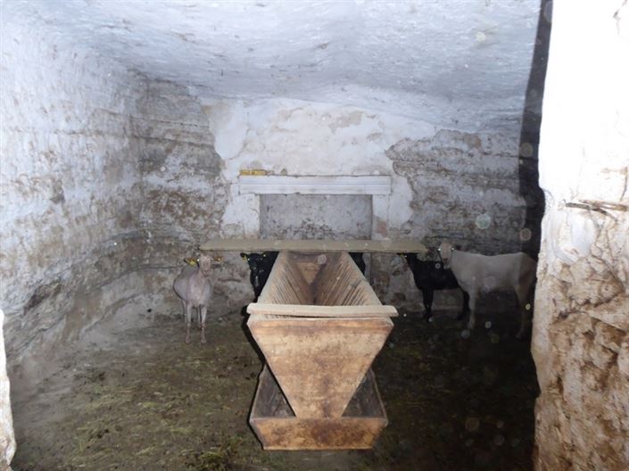 Image No.17-10 Bed House for sale