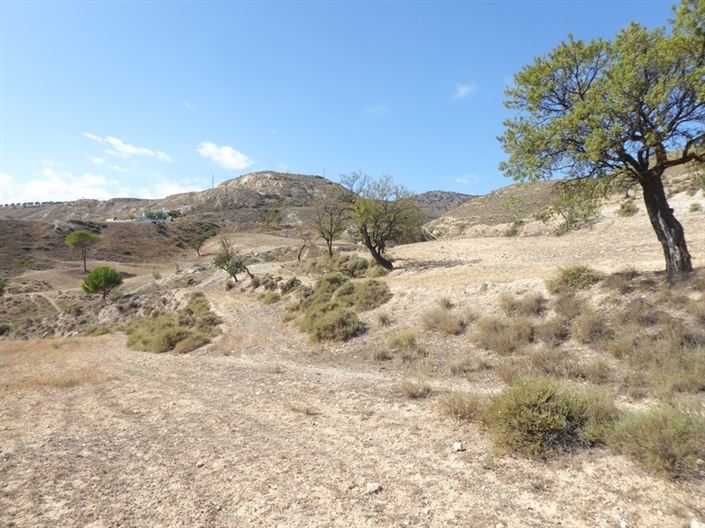 Image No.33-10 Bed House for sale