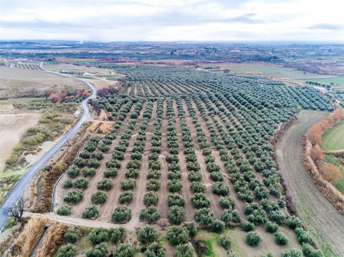 Image No.37-5 Bed Cortijo for sale