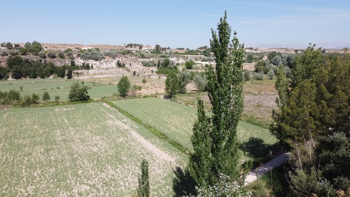 Image No.4-3 Bed House for sale