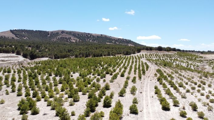 Image No.25-6 Bed House for sale