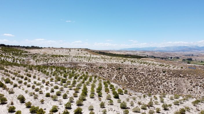 Image No.26-6 Bed House for sale