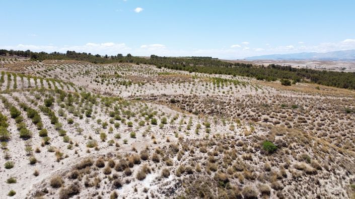 Image No.29-6 Bed House for sale