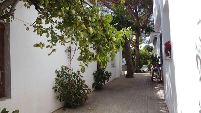 Image No.3-6 Bed Property for sale