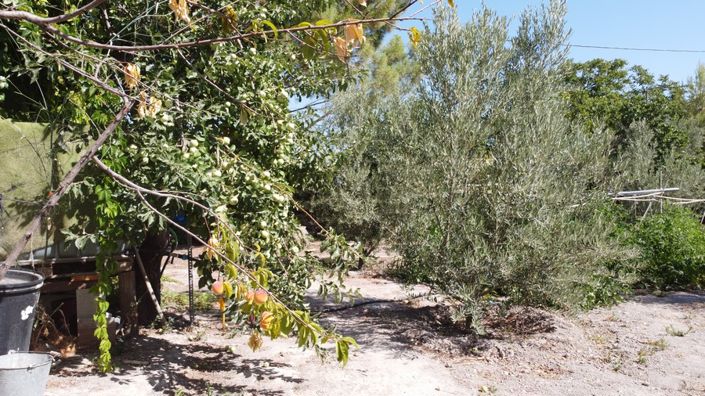 Image No.7-6 Bed Property for sale