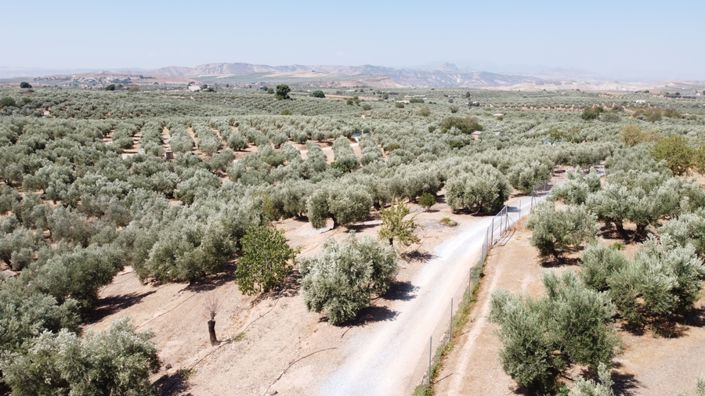 Image No.4-2 Bed Property for sale