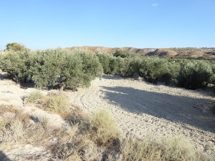 Image No.32-5 Bed House for sale