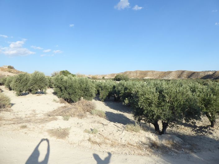 Image No.33-5 Bed House for sale