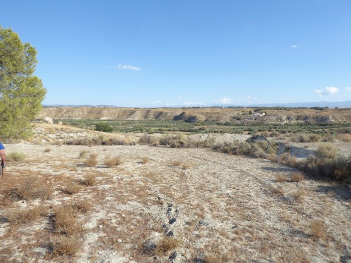 Image No.6-5 Bed House for sale