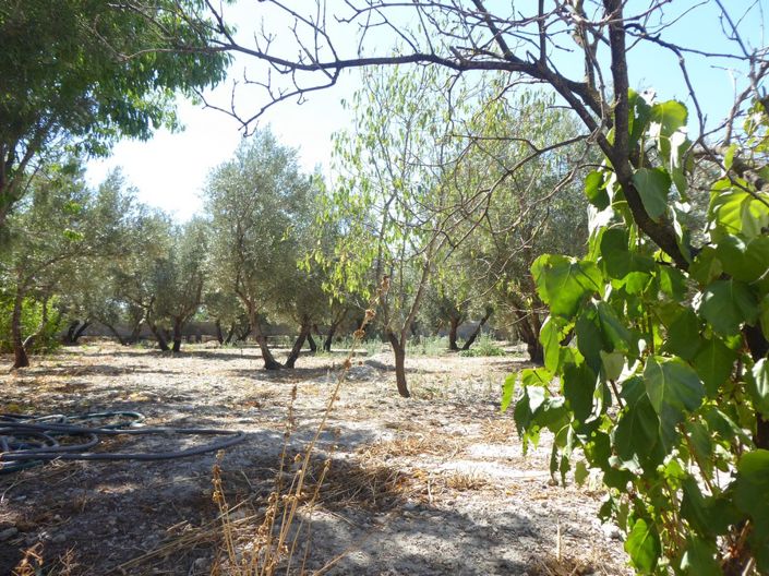 Image No.38-3 Bed Cortijo for sale