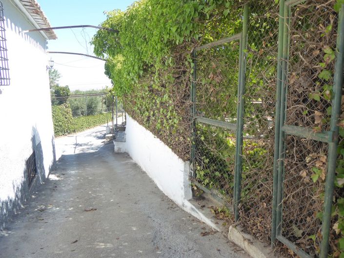 Image No.40-3 Bed Cortijo for sale