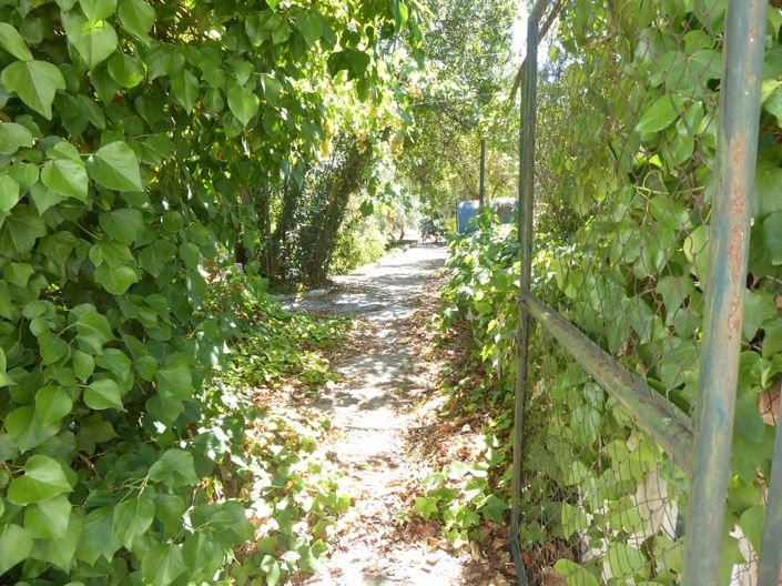 Image No.41-3 Bed Cortijo for sale