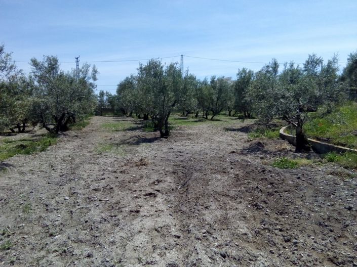 Image No.43-3 Bed Cortijo for sale