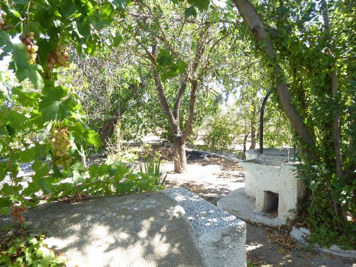 Image No.48-3 Bed Cortijo for sale