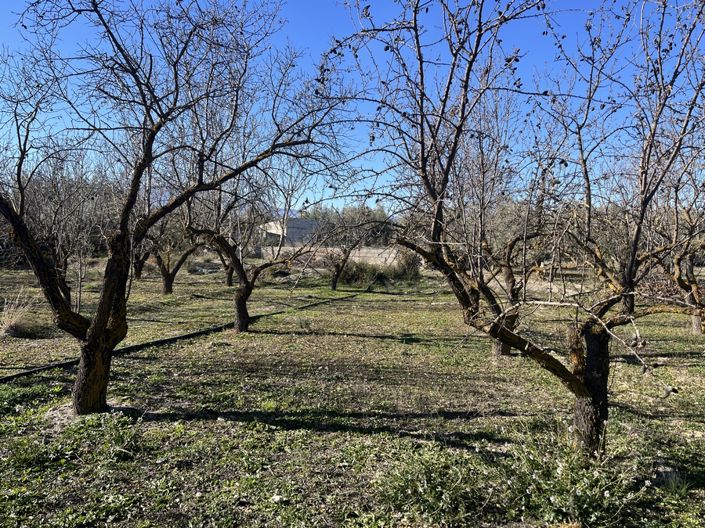 Image No.32-5 Bed Cortijo for sale