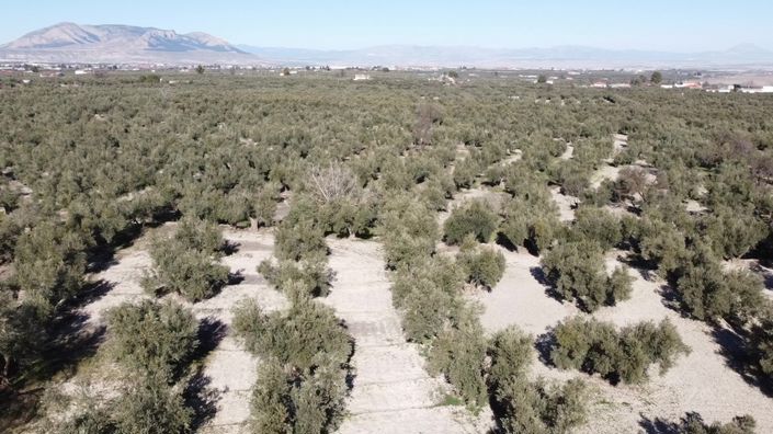 Image No.35-5 Bed Cortijo for sale