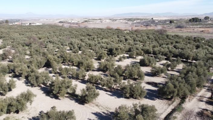 Image No.36-5 Bed Cortijo for sale