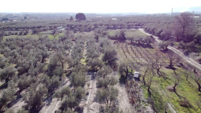 Image No.37-5 Bed Cortijo for sale