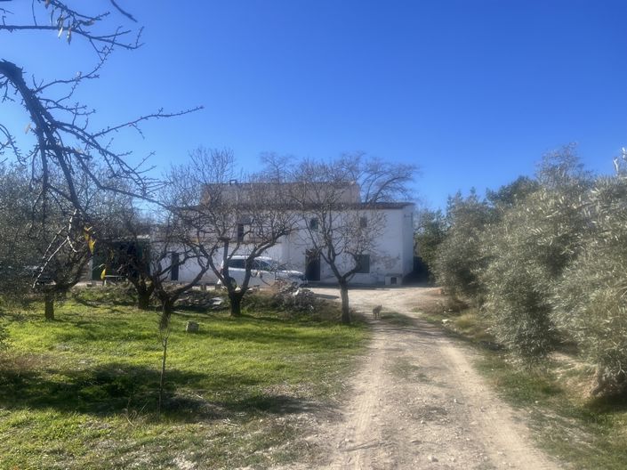Image No.41-5 Bed Cortijo for sale