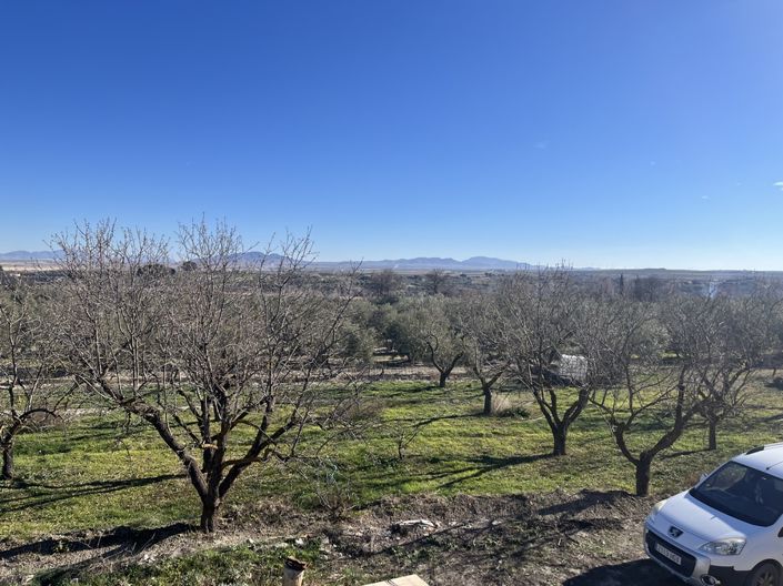 Image No.6-5 Bed Cortijo for sale