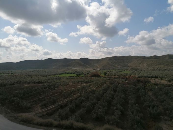 Image No.12-5 Bed House for sale