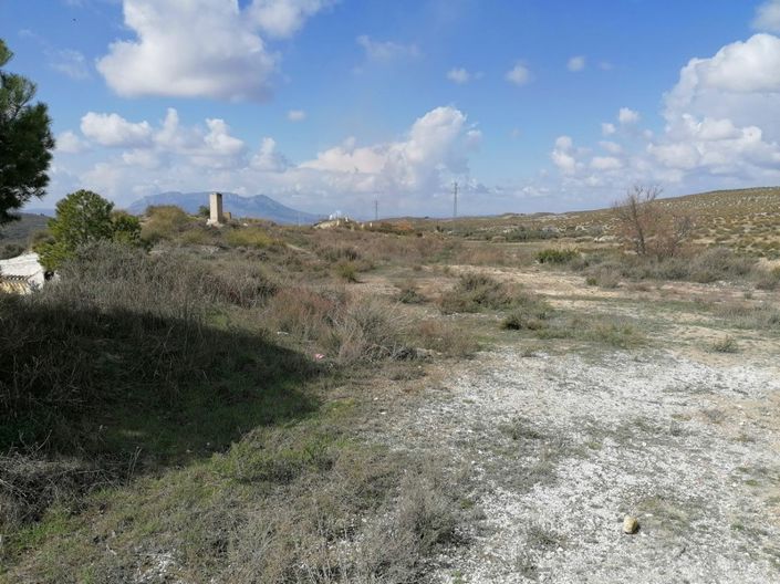 Image No.13-5 Bed House for sale