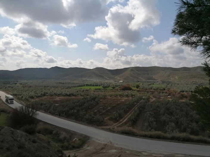 Image No.5-5 Bed House for sale