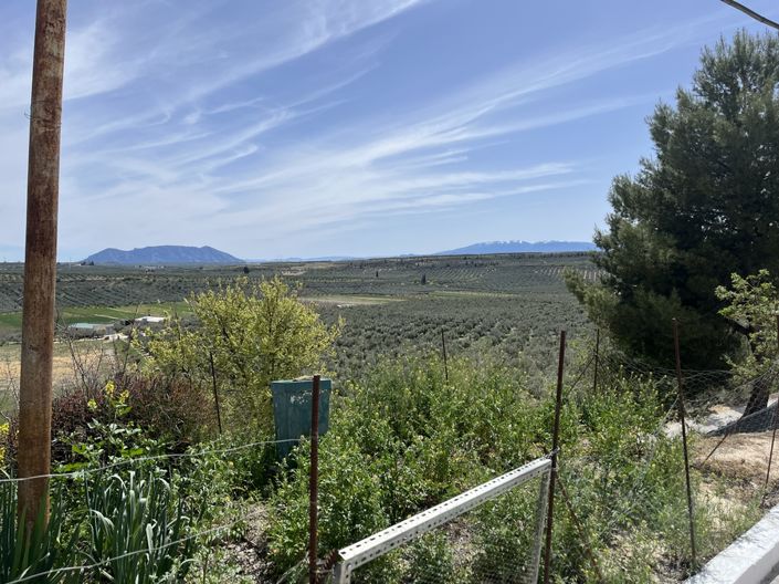 Image No.5-2 Bed House for sale