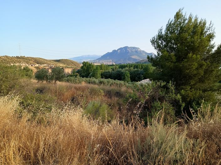 Image No.12-7 Bed House for sale