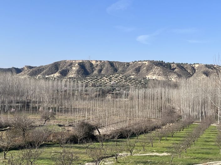 Image No.4-4 Bed House for sale