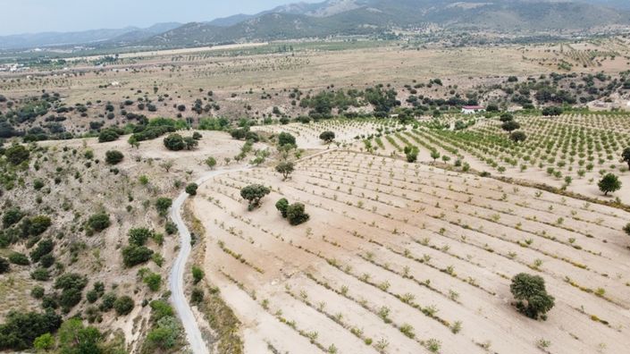 Image No.16-3 Bed Cortijo for sale