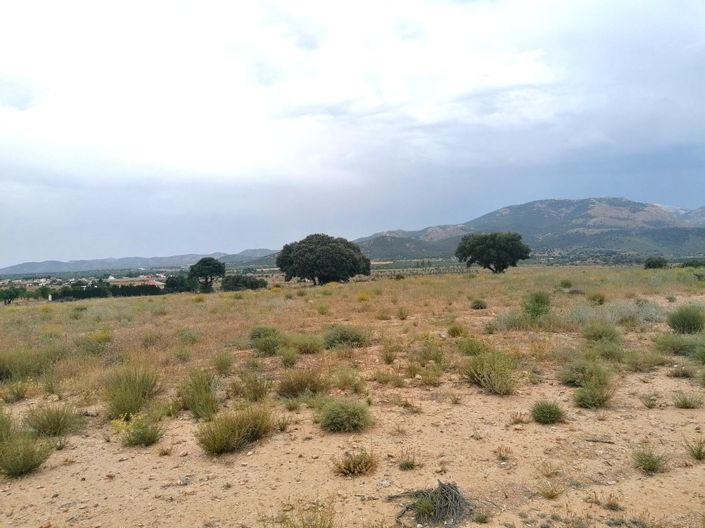 Image No.39-3 Bed Cortijo for sale