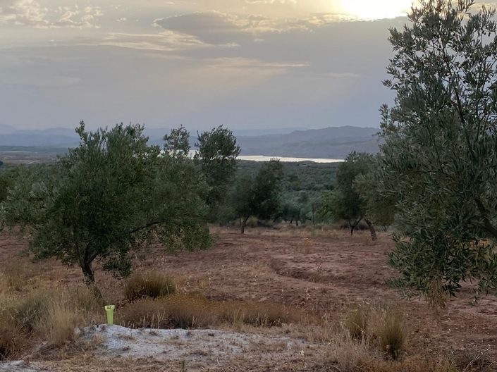 Image No.11-1 Bed Property for sale