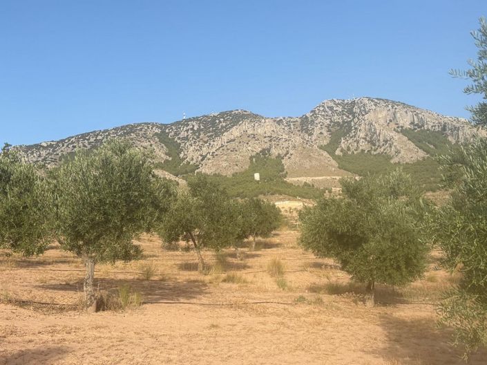 Image No.12-1 Bed Property for sale