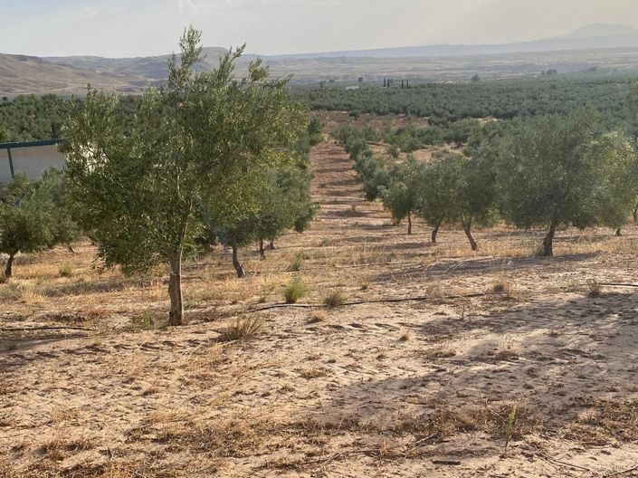 Image No.13-1 Bed Property for sale