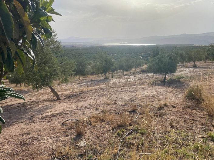 Image No.14-1 Bed Property for sale