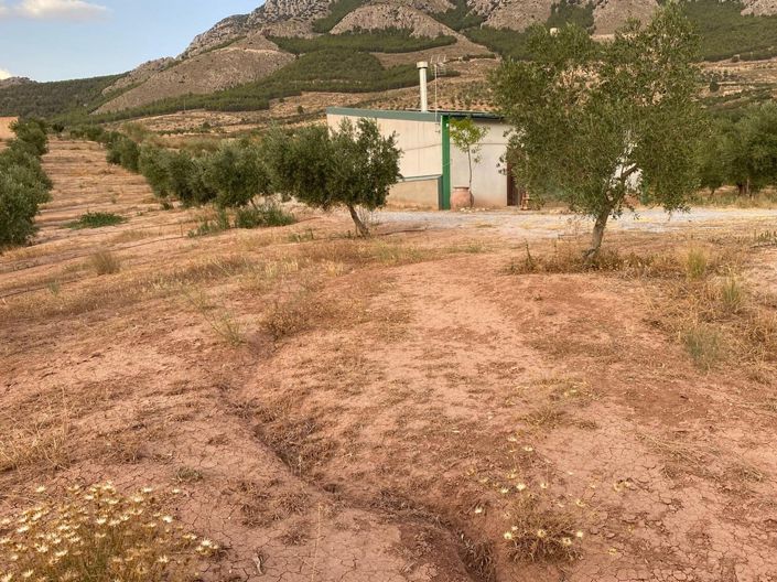 Image No.3-1 Bed Property for sale