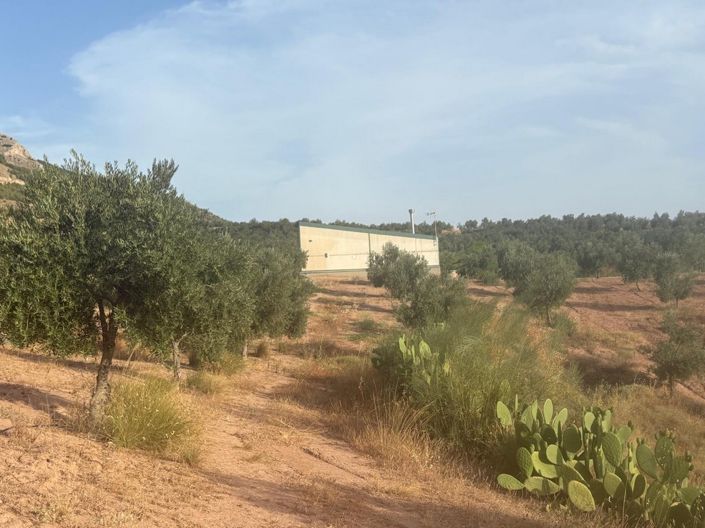 Image No.4-1 Bed Property for sale