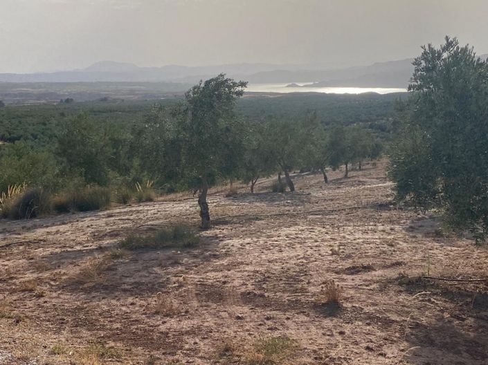 Image No.9-1 Bed Property for sale