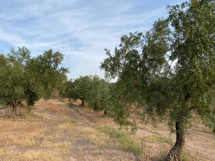 Image No.10-1 Bed Property for sale