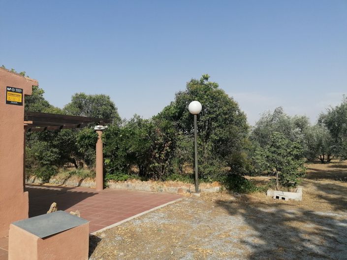 Image No.5-3 Bed Cortijo for sale