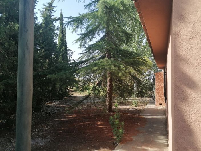 Image No.6-3 Bed Cortijo for sale