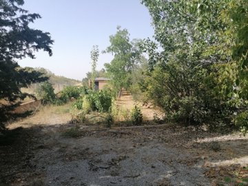 v3091249