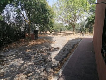 v3091250