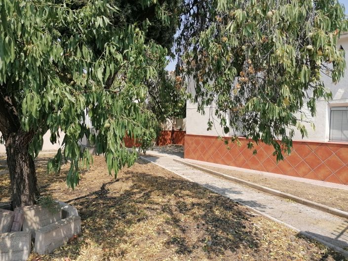 Image No.21-4 Bed Cortijo for sale