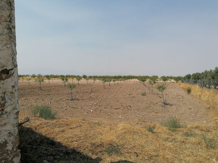 Image No.23-4 Bed Cortijo for sale