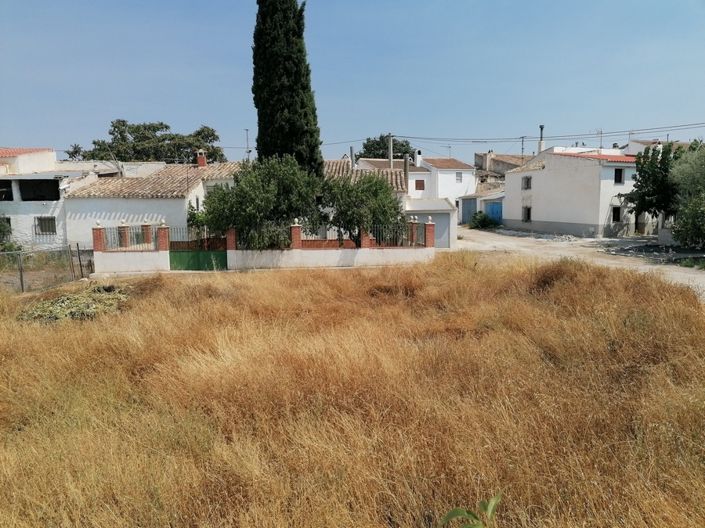 Image No.5-4 Bed Cortijo for sale