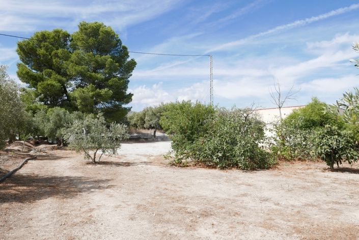 Image No.12-1 Bed Cortijo for sale