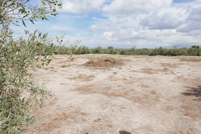 Image No.13-1 Bed Cortijo for sale